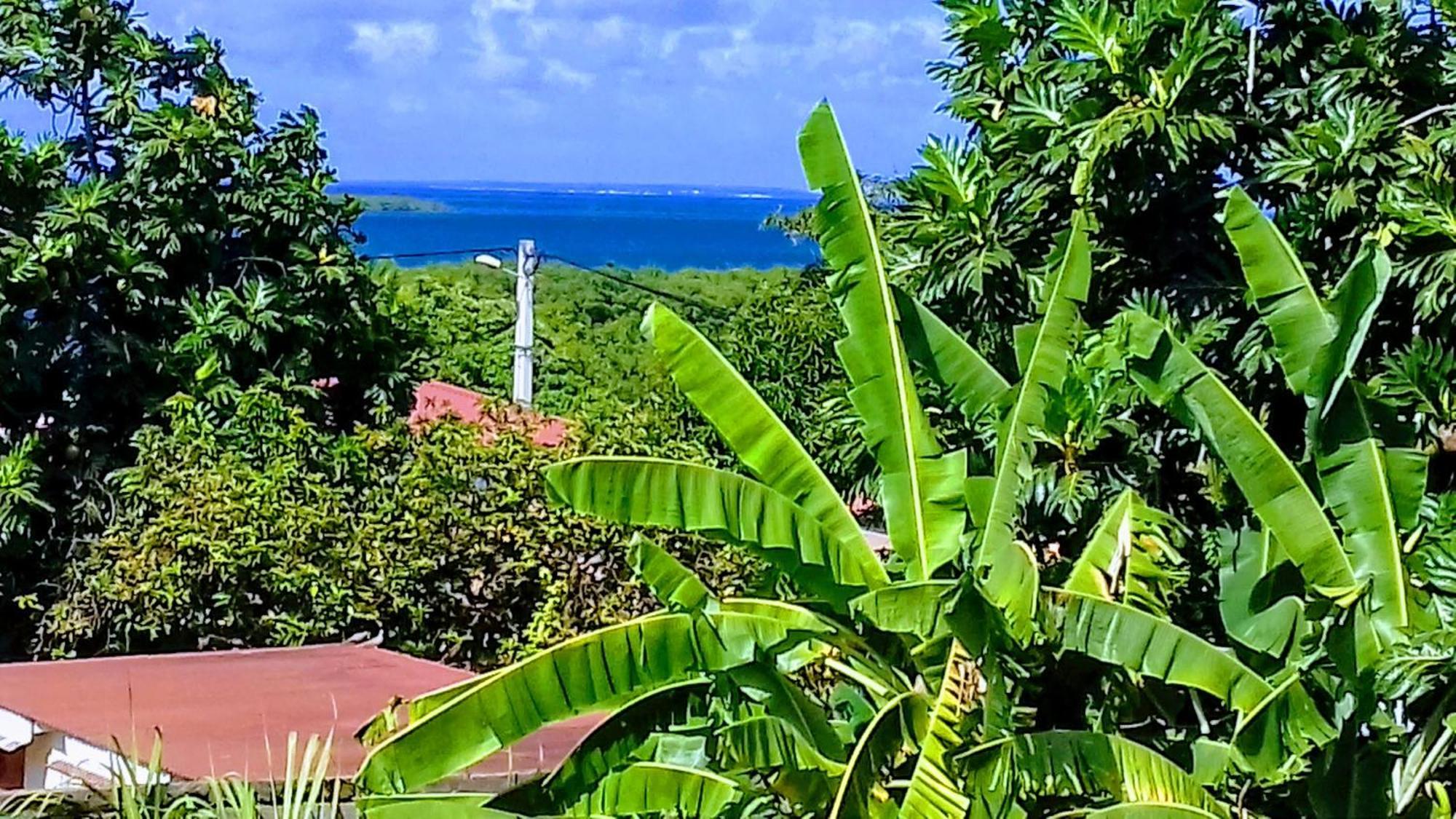 Ilet Blanc Villa Sainte-Rose Exteriör bild